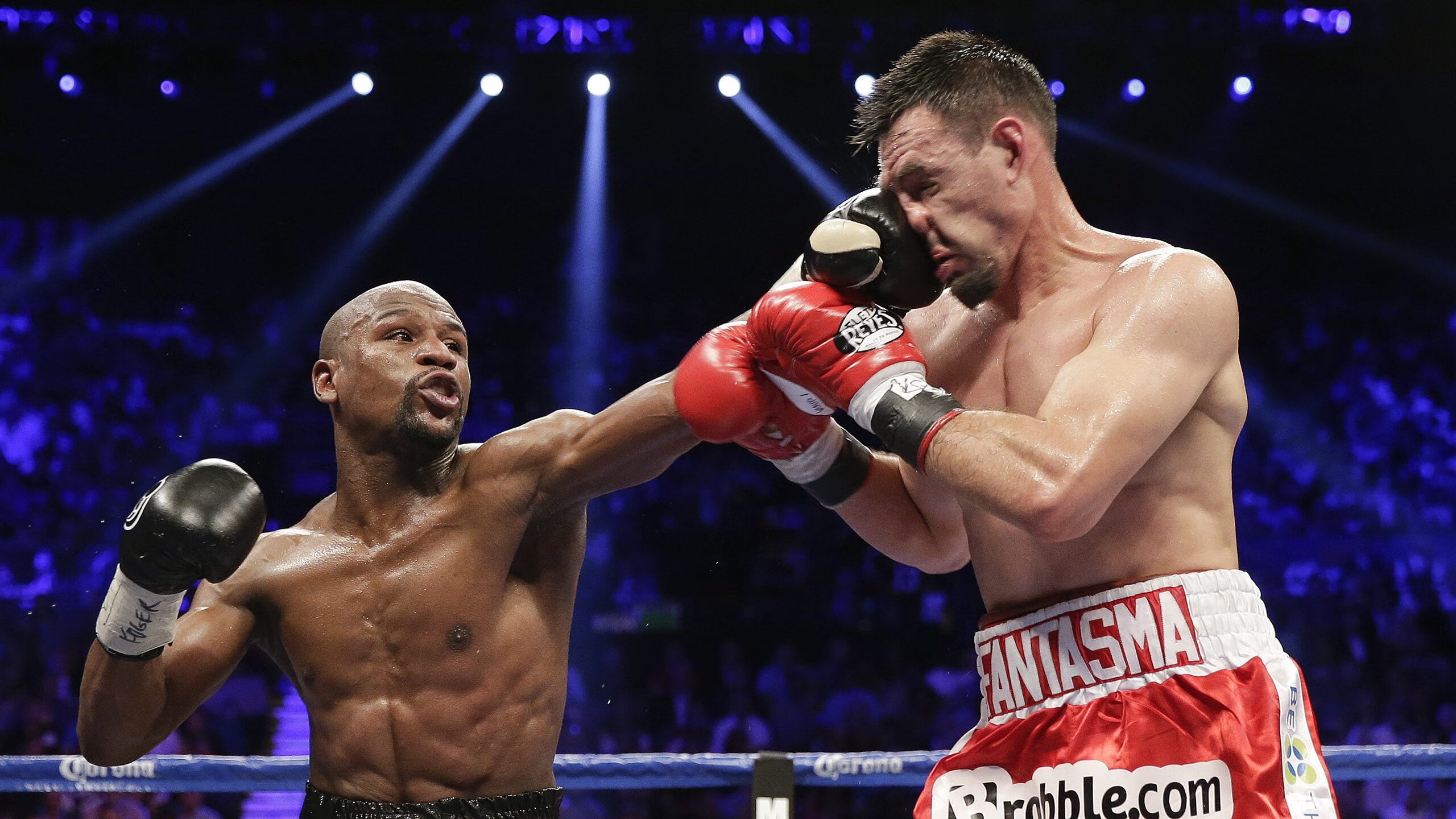 体育文化发展趋势